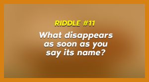 riddle 11